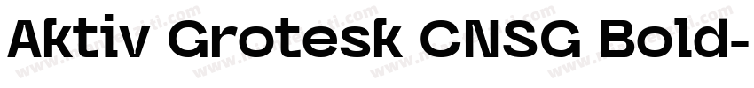 Aktiv Grotesk CNSG Bold字体转换